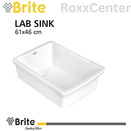 Lab Sink by Brite Sanitary Ware | RoxxCenter