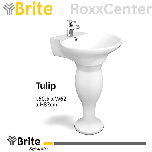Tulip Two Piece Basin by Brite Sanitary Ware | RoxxCenter
